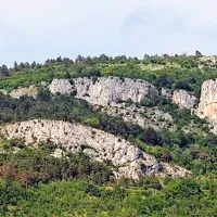 Plezalci jim pomagajo &scaron;teti sove