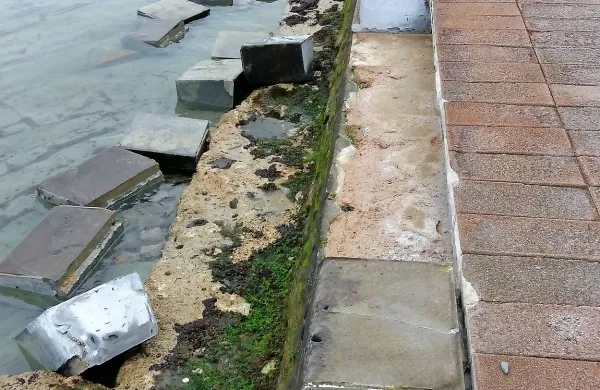 Pot bodo popravili ob oseki