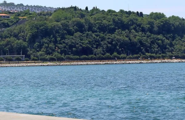 Gradbeno dovoljenje za panoramsko dvigalo, ki bo povezalo obalo 
v Žusterni z Markovcem, naj bi  pridobili najkasneje do septembra.