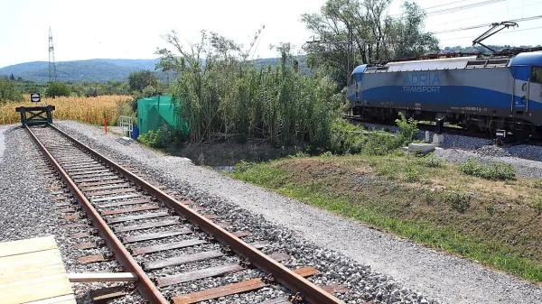  Metod Dragonja ocenjuje, da se podjetje 2TDK lahko ukine v 
primeru, če  zakon o drugem tiru ne bo uveljavljen. Vlogo 
investitorja bi lahko nadaljevala država prek direkcije za infrastrukturo.
