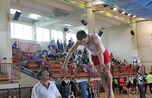 Največ odličij so v domači dvorani osvojili telovadci Partizana 
Renče.