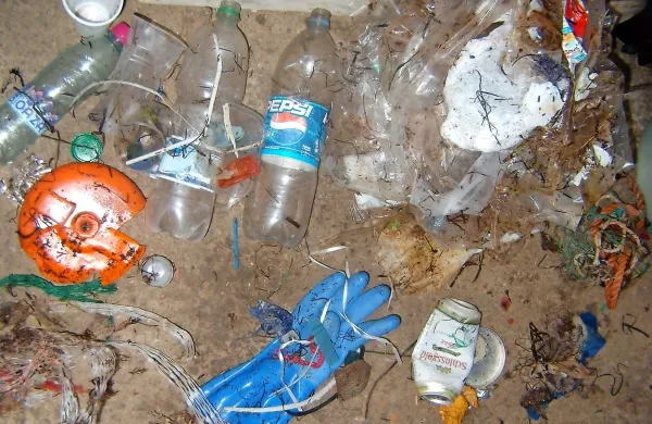 Plastični odpadki onesnažujejo okolje in ogrožajo življenja.