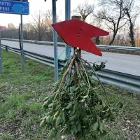 K osmicam usmerjajo fraske, ki jih želijo italijanski birokrati narediti za nezaželjene. 

