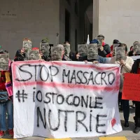 V Trstu so protestirali proti krutemu pobijanju nutrij
