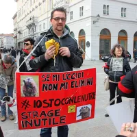 V Trstu so protestirali proti krutemu pobijanju nutrij