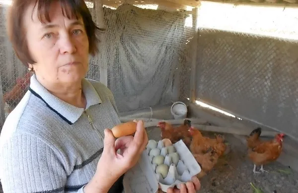 Olga Šćulac is vasi Bravari v okolici Pazina je bila precej 
presenečena, ko je pred nekaj dnevi v svojem kokošnjaku našla 
zelo neobičajno jajce.