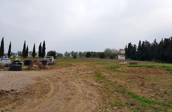 Na tej parceli nad  vrtnarijo v Škocjanu bi koprska Marjetica uredila 
rastlinjak. 