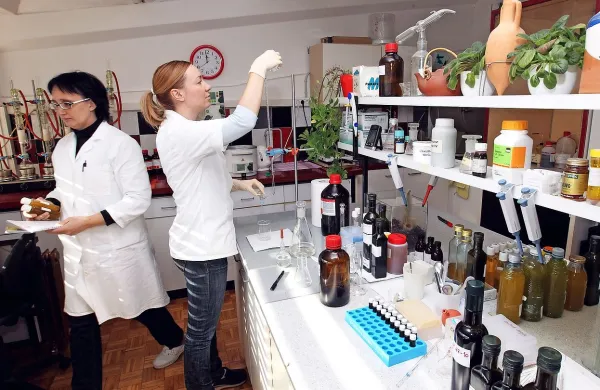 Inštitutu za oljkarstvo ZRS bi brez interventnih sredstev konec 
meseca grozil odvzem  akreditacije za njihov laboratorij za monitoring oljčnega olja.