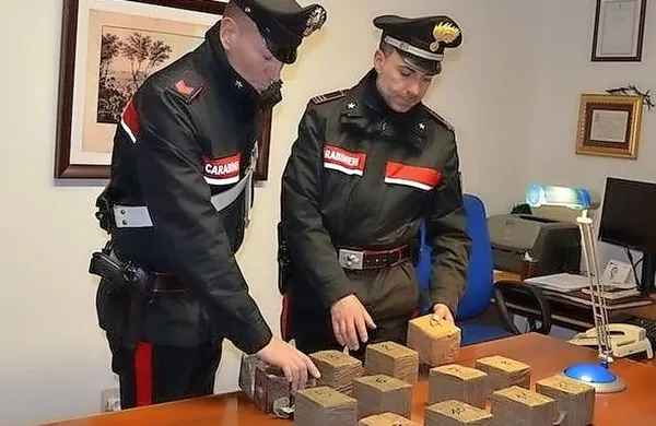 Nabrežinski karabinjerji so včeraj zvečer na avtocesti pri cestninski postaji pri Moščenicah zasegli 12 kilogramov hašiša.