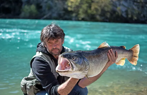 Soška postrv, ki jo je včeraj ujel član Ribiške družine Soča Nova 
Gorica Robert Prando, je v dolžino merila 103 centimetre, tehtala 
pa je 12,5 kilograma.