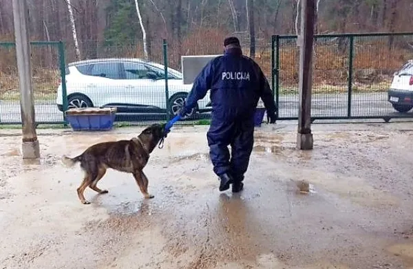 Arsen je pred dnevi zapustil zavetišče, odpeljali so ga v Zagreb, da 
bi ga izšolali za policijskega psa.