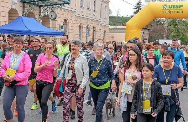 Množični Vivicitt&agrave;