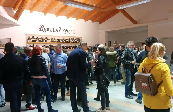 100 vzorcev edinstvene rebule je bilo na voljo na sobotni in 
nedeljski degustaciji.