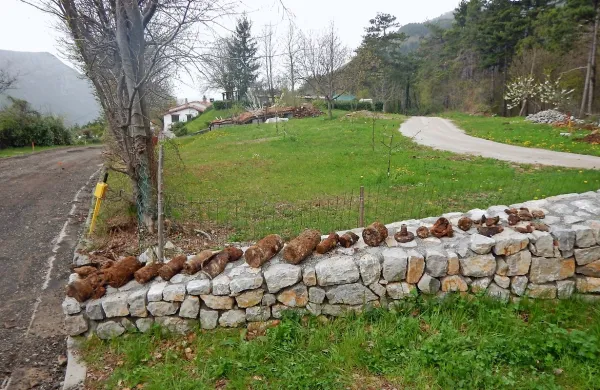 V torek popoldne so  v bližini Prevale  pri detektiranju bodočega 
gradbišča za krožno križišče naleteli na skupno 29 kosov NUS.