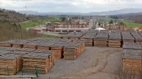 Profilesova skladišča lesa že zdaj zasedajo velike površine desno 
od regionalne ceste oziroma pod avtocesto.