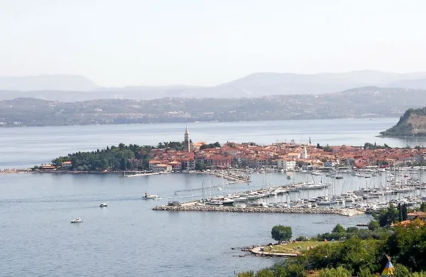 Izola