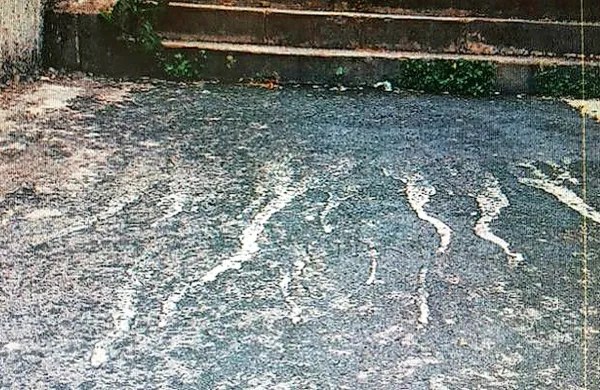 Mestne oblasti so pred dvema letoma zbledeli grafit razglasile za 
zaščiteno lokalno kulturno dobro.