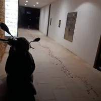 Streljanje na portoro&scaron;ki plaži