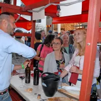 V &Scaron;martnem znova navdu&scaron;ila prireditev Brda in vino