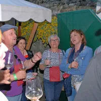 V &Scaron;martnem znova navdu&scaron;ila prireditev Brda in vino
