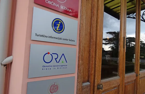 Ora i&scaron;če direktorja