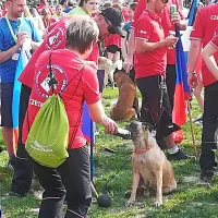 V Ajdov&scaron;čino so pri&scaron;li tudi ovčarji iz Indije in Japonske
