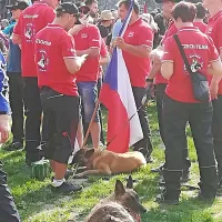 V Ajdov&scaron;čino so pri&scaron;li tudi ovčarji iz Indije in Japonske