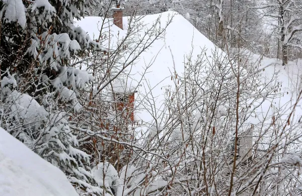 Novogoriški kriminalisti so ugotovili, da sta moški in ženska,  ki so 
ju 3. marca  našli blizu hiše v vasi Govejk, umrla zaradi podhladitve.