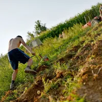 Pri delu v naravi moramo biti previdni, se primerno zaščititi in  
opremiti. 
