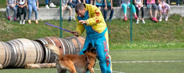 Mondioring sodi med atraktivnejše  kinološke športne discipline, 
vključuje vaje skokov, poslušnosti in obrambe. 