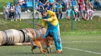 Mondioring sodi med atraktivnejše  kinološke športne discipline, 
vključuje vaje skokov, poslušnosti in obrambe. 