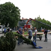 Mlaj krasi sredi&scaron;če Ajdov&scaron;čine