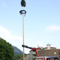 Mlaj krasi sredi&scaron;če Ajdov&scaron;čine