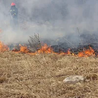 Zaradi dolge zime, mokre ter  izredno tople pomladi Primorci letos 
skoraj nismo nikjer zažigali suhe trave.