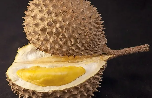 Durian