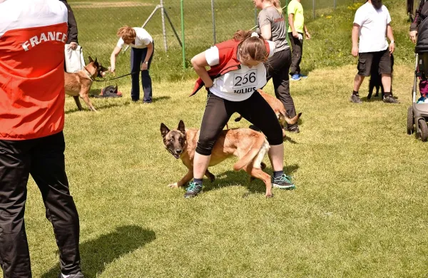  536 tekmovalnih parov  se je v minulih dneh pomerilo v Ajdovščini.