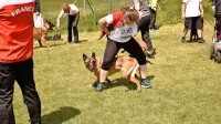  536 tekmovalnih parov  se je v minulih dneh pomerilo v Ajdovščini.
