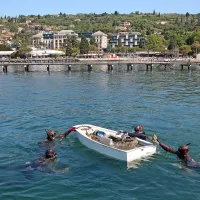 V Portorožu so presajali le&scaron;čurje