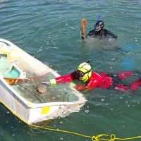 V Portorožu so presajali le&scaron;čurje
