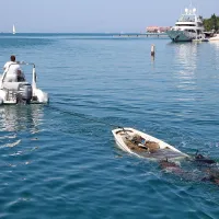 V Portorožu so presajali le&scaron;čurje