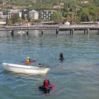 V Portorožu so presajali le&scaron;čurje