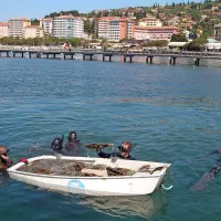 V Portorožu so presajali le&scaron;čurje