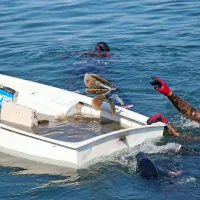 V Portorožu so presajali le&scaron;čurje