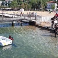 V Portorožu so presajali le&scaron;čurje