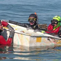 V Portorožu so presajali le&scaron;čurje