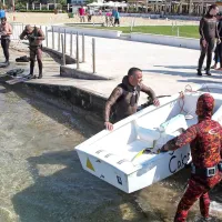 V Portorožu so presajali le&scaron;čurje