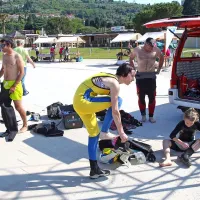 V Portorožu so presajali le&scaron;čurje