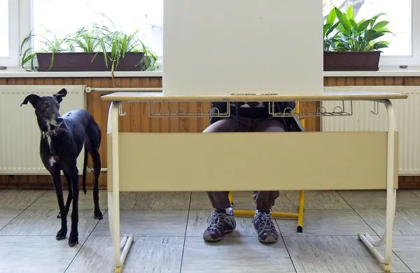 Na voli&scaron;čih referendumsko glasovanje