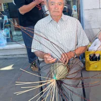 Pestro dogajanje ob morju