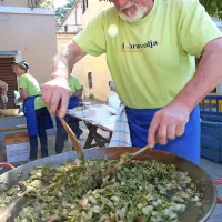 Pestro dogajanje ob morju